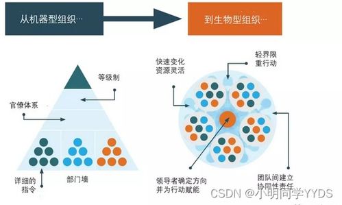 數(shù)據(jù)治理之道 構(gòu)建敏捷治理組織與高效數(shù)據(jù)處理機制